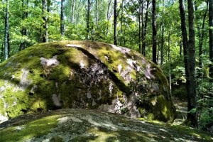 Экскурсия в Каменное село
